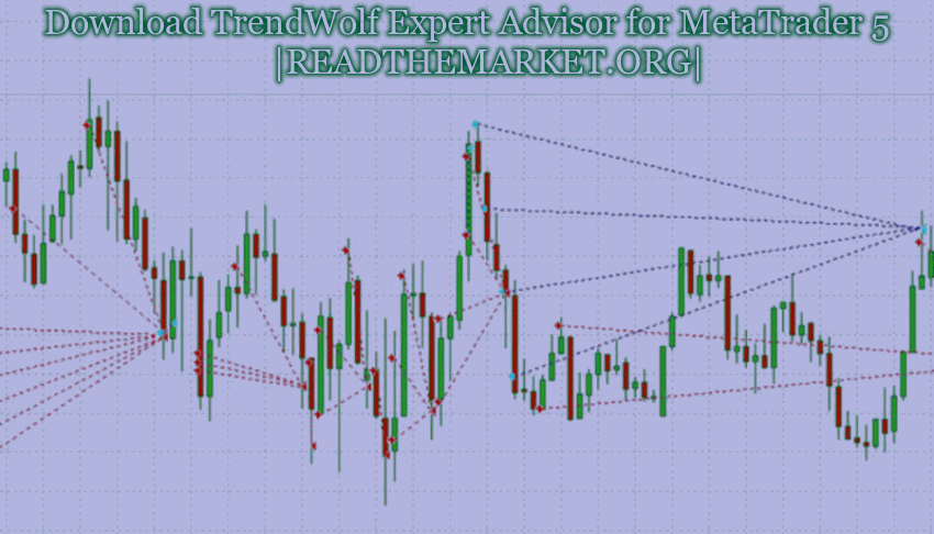 TrendWolf | آر تی ام TrendWolf