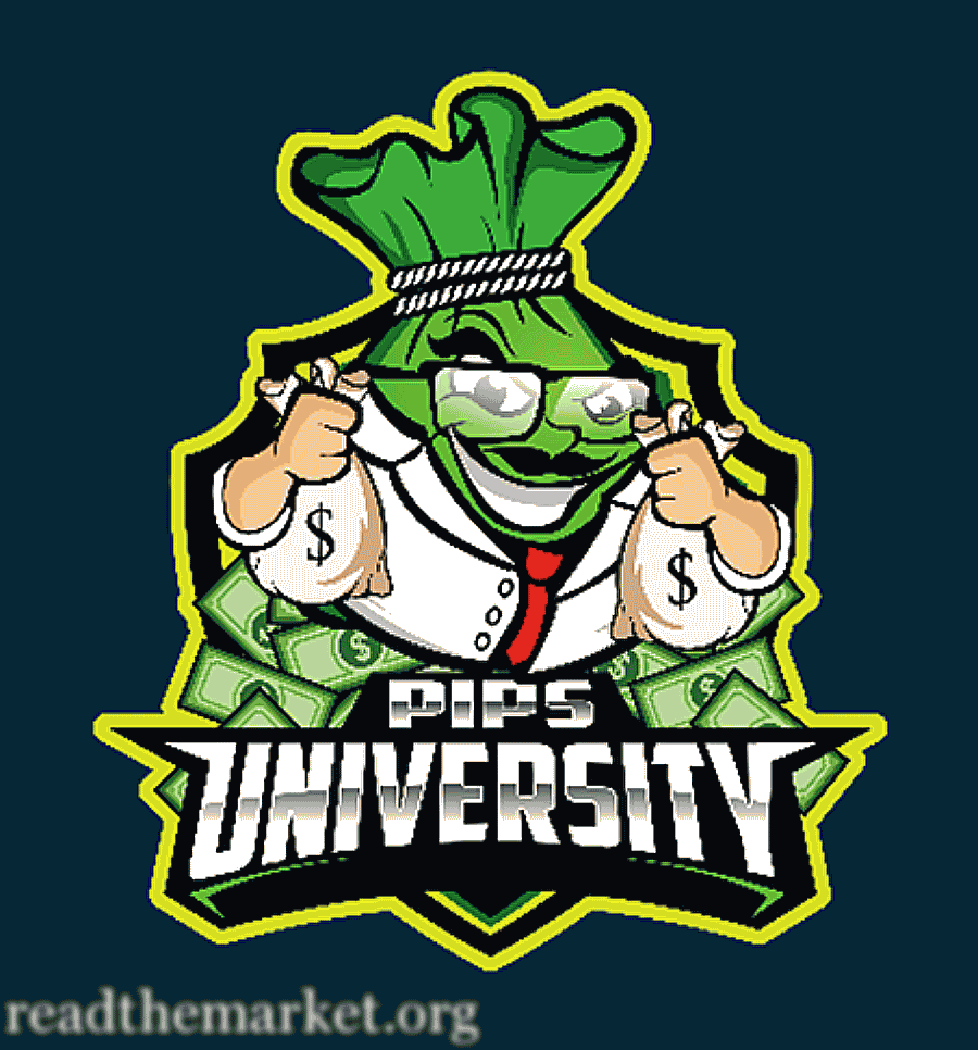 Download Pips University course | آر تی ام Download Pips University course