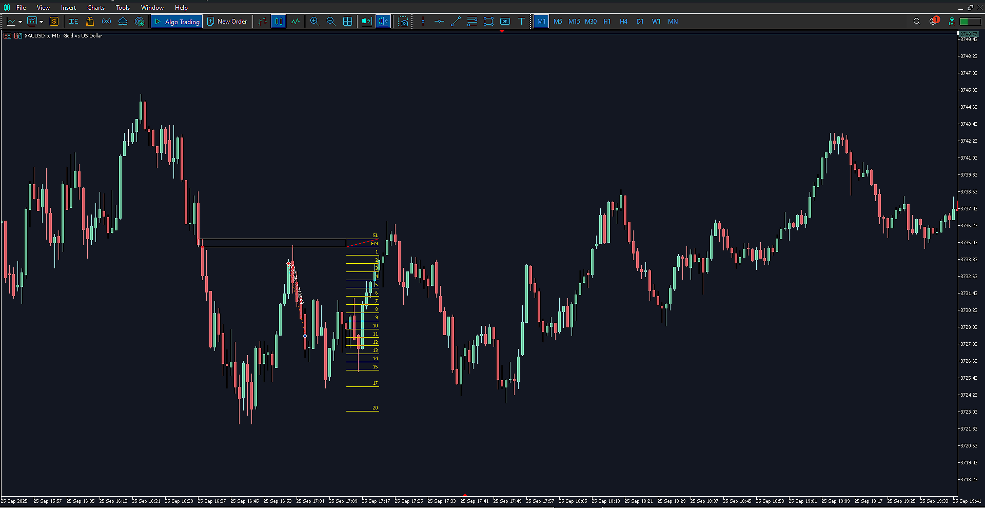 I am the Holy Grail of the Market